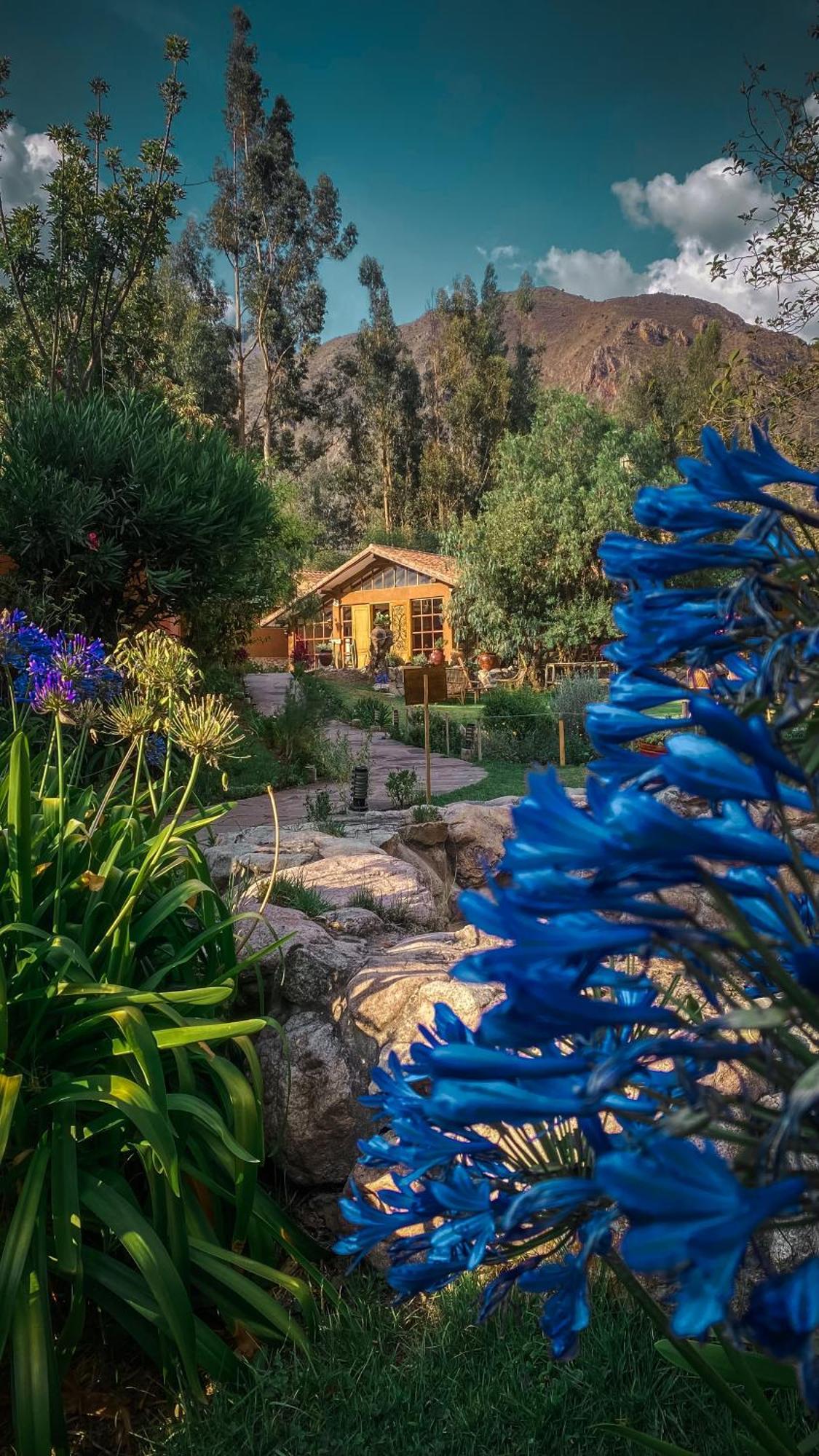 Andean Wings Valley Urubamba Esterno foto